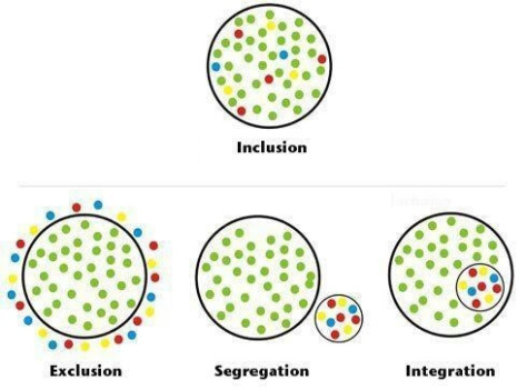 inclusion